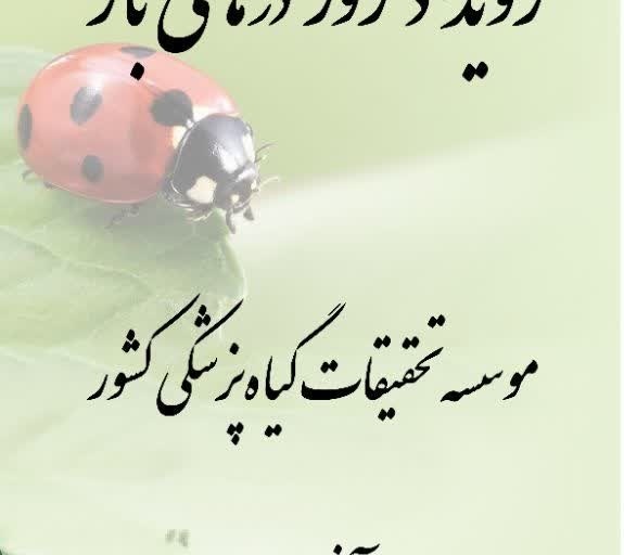 رویداد درهای باز