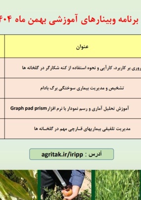 وبینارهای آموزشی بهمن