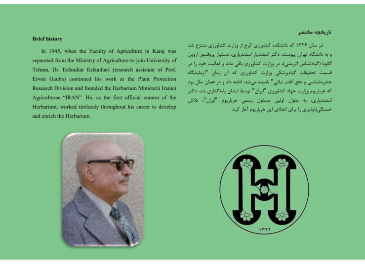 هرباریوم