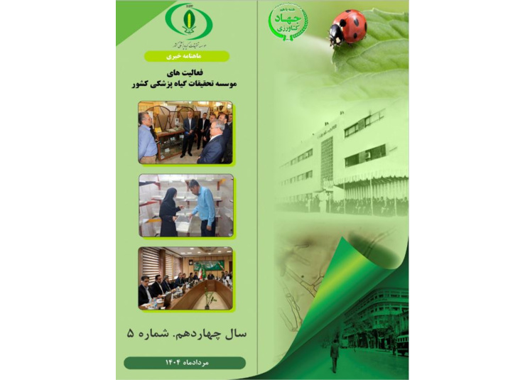 نشریه خبری