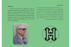 هرباریوم