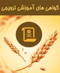 گواهی های آموزشی