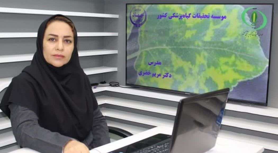 باتدریس عضو هیات‌علمی موسسه تحقیقات گیاه‌پزشکی کشور برگزار شد: