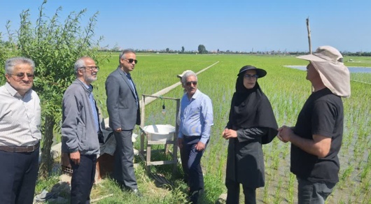 سفر رییس موسسه تحقیقات گیاه‌پزشکی کشور به مازندران؛
