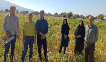 بازدید اعضای هیات علمی موسسه  تحقیقات گیاه پزشکی کشور؛