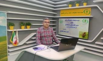 به همت عضو هیات علمی بخش تحقیقات رده‌بندی حشرات موسسه تحقیقات گیاه‌پزشکی کشور برگزار شد؛