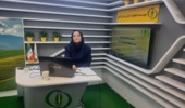 باتدریس عضو هیات‌علمی بخش تحقیقات بیماری‌های گیاهی موسسه تحقیقات گیاه‌پزشکی کشور برگزار شد: