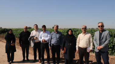 در سفر استانی رییس موسسه تحقیقات گیاه‌پزشکی کشور به استان خوزستان؛
